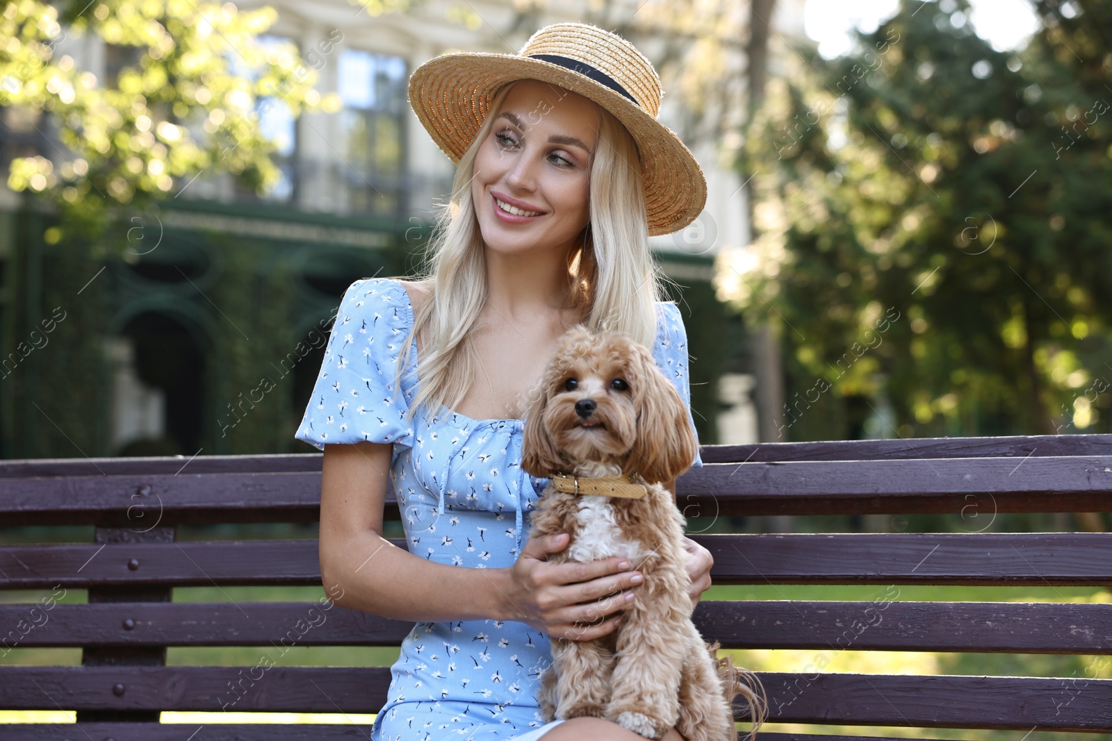 Photo of Beautiful young woman with cute dog on bench in park