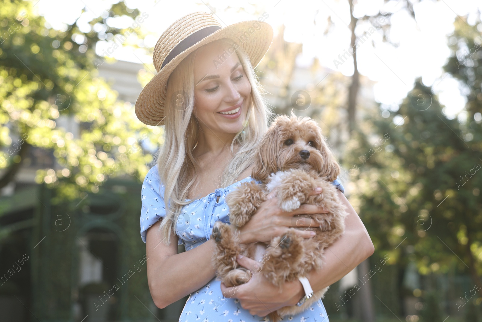 Photo of Beautiful young woman with cute dog in park