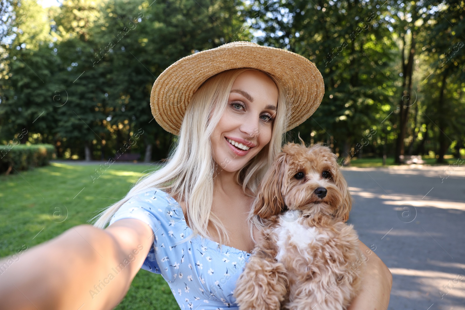 Photo of Beautiful young woman taking selfie with cute dog in park