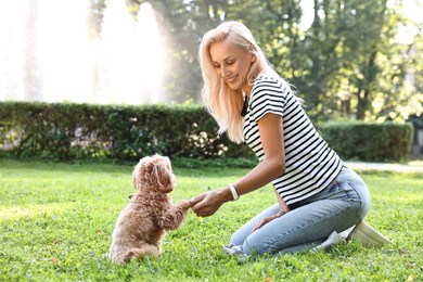 Beautiful young woman with cute dog on green grass in park