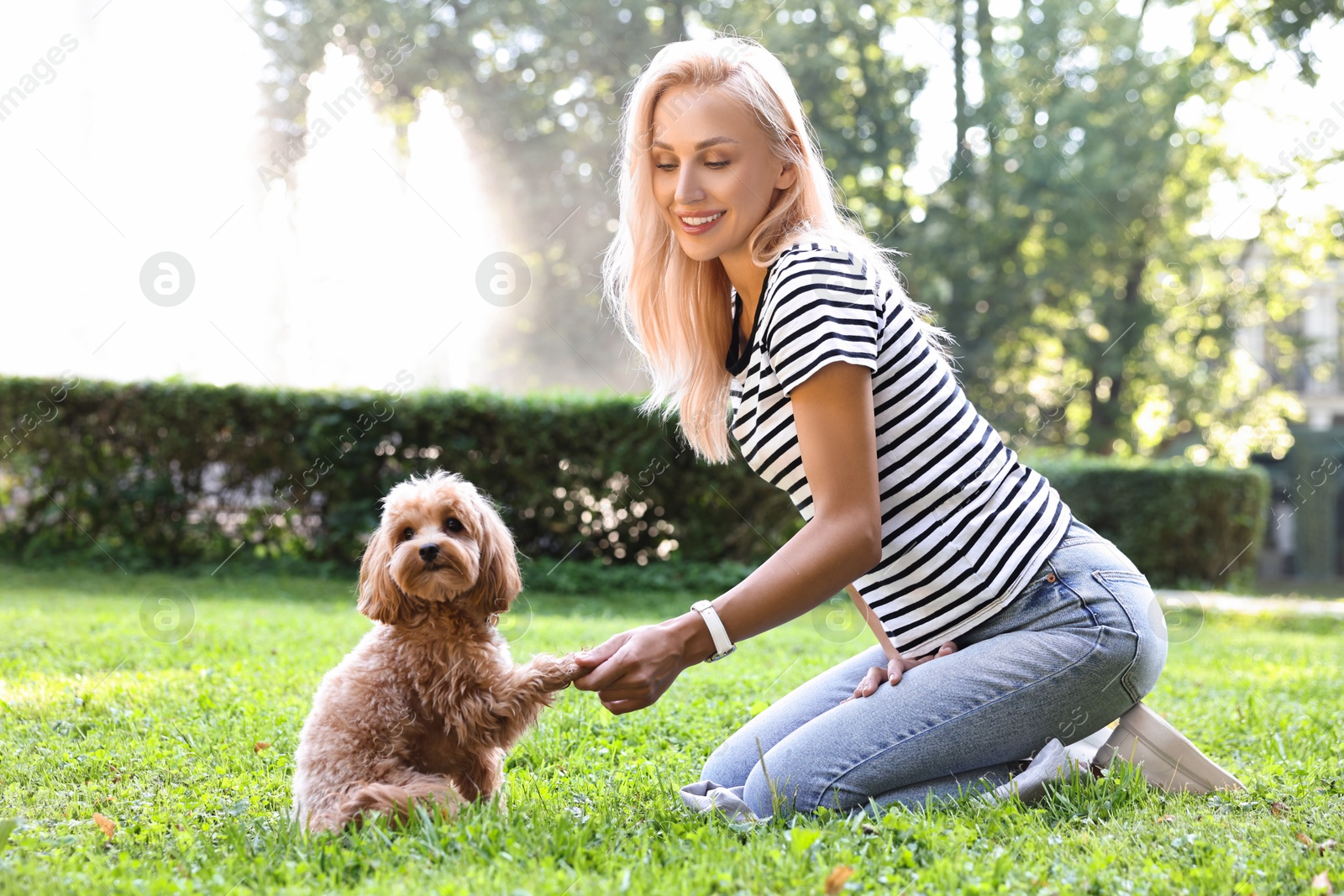 Photo of Beautiful young woman with cute dog on green grass in park