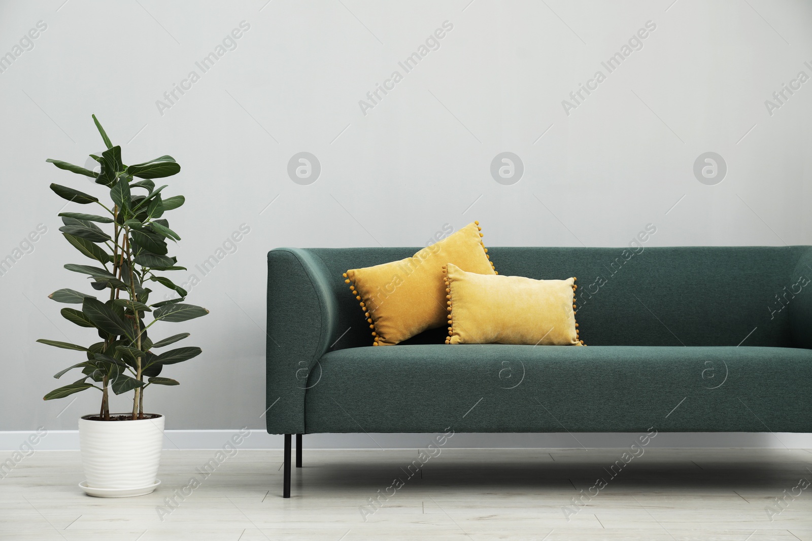 Photo of Stylish room interior with comfortable sofa and houseplant