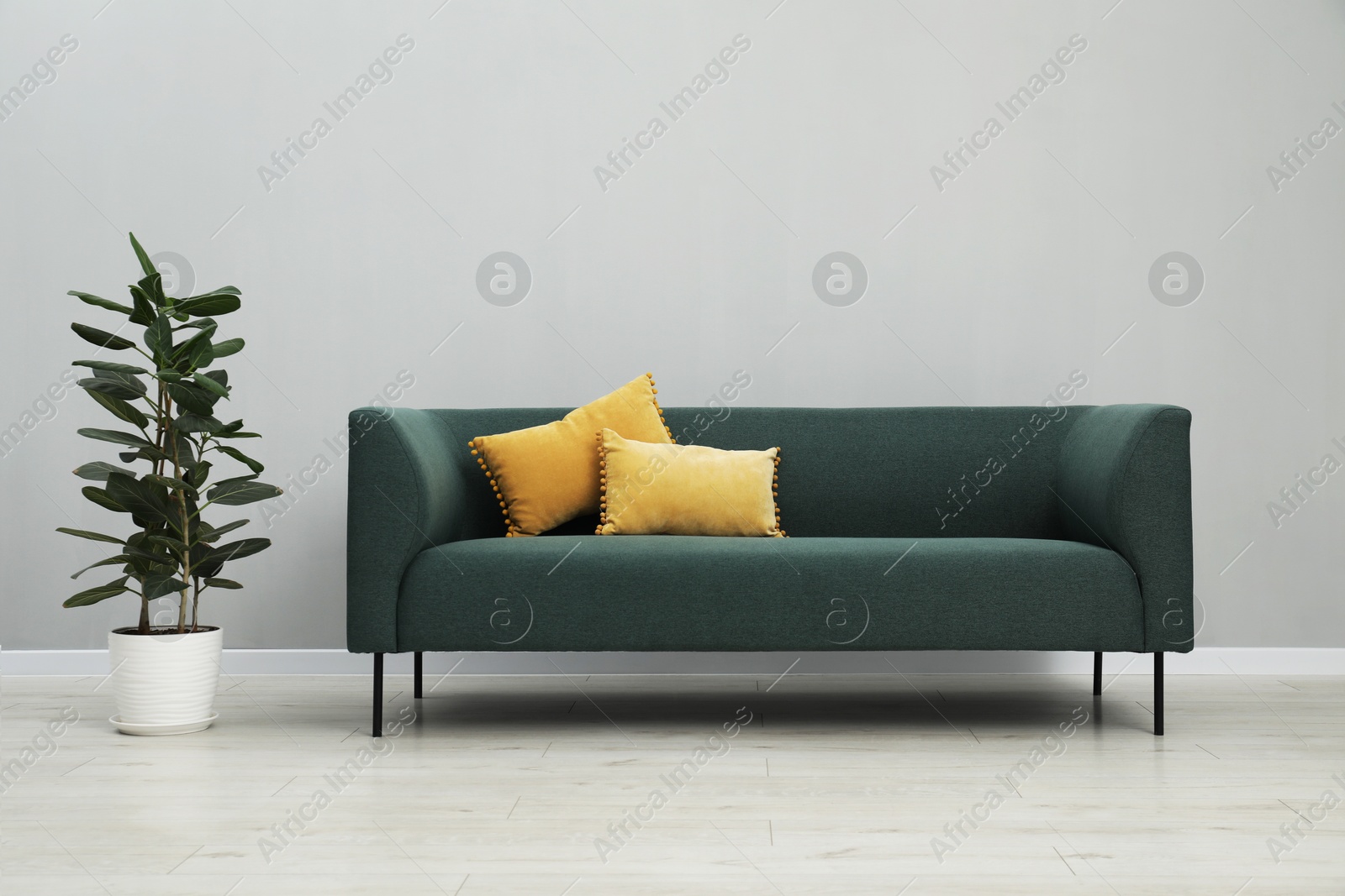 Photo of Stylish room interior with comfortable sofa and houseplant