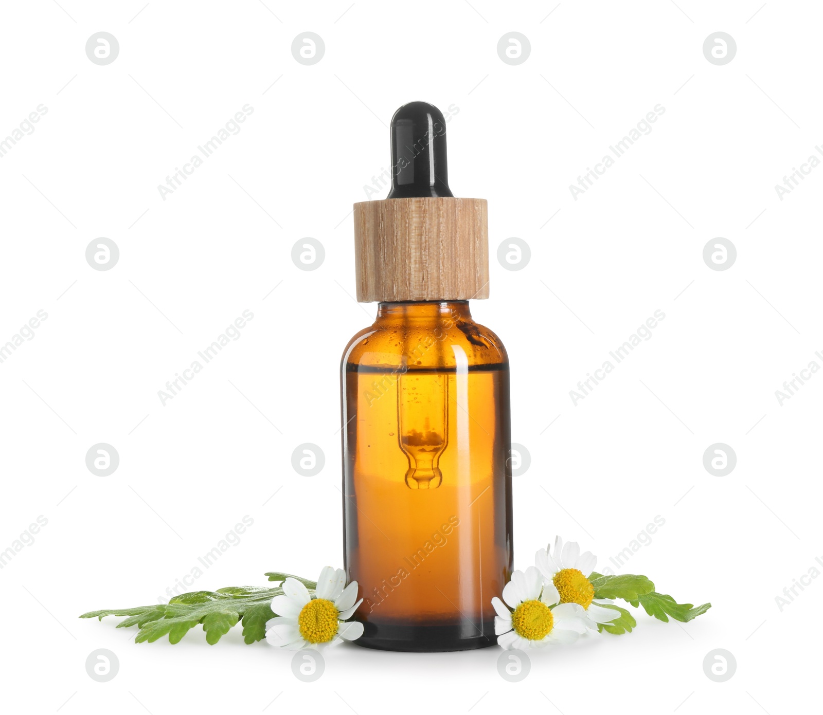 Photo of Bottle of tincture and daisy flowers isolated on white