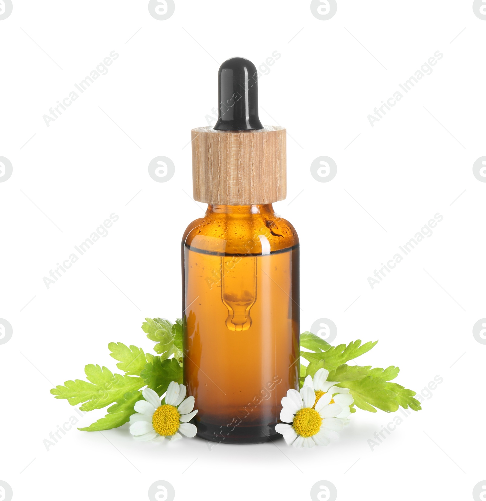 Photo of Bottle of tincture and daisy flowers isolated on white