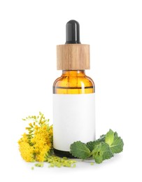 Photo of Bottle of tincture, mint and goldenrods flowers isolated on white