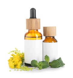 Photo of Bottles of tincture, mint and goldenrods flowers isolated on white