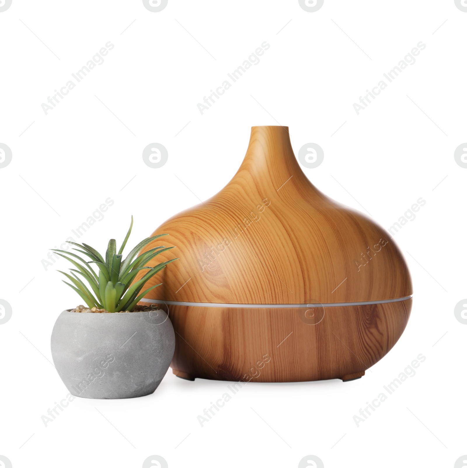 Photo of Aroma oil diffuser and plant isolated on white