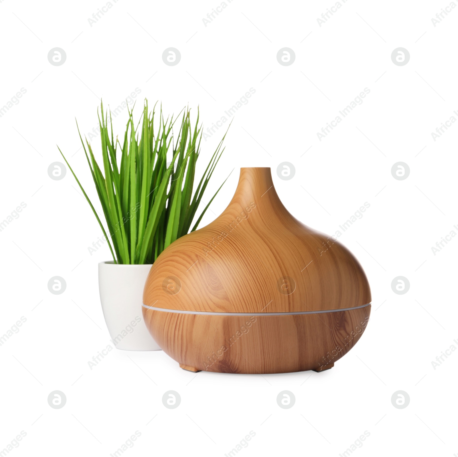 Photo of Aroma oil diffuser and plant isolated on white