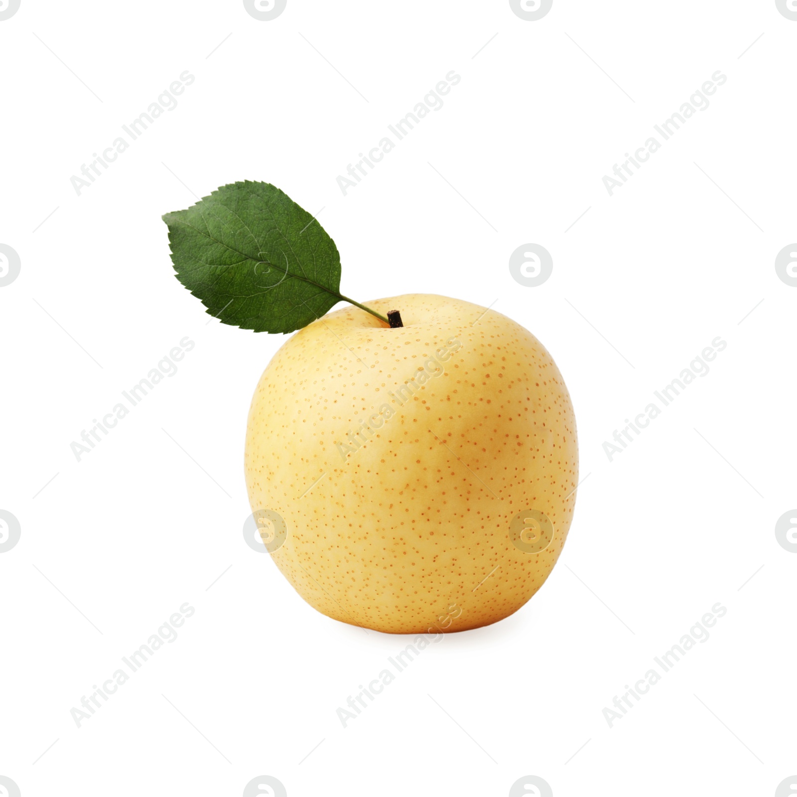 Photo of Delicious fresh apple pear and green leaf isolated on white