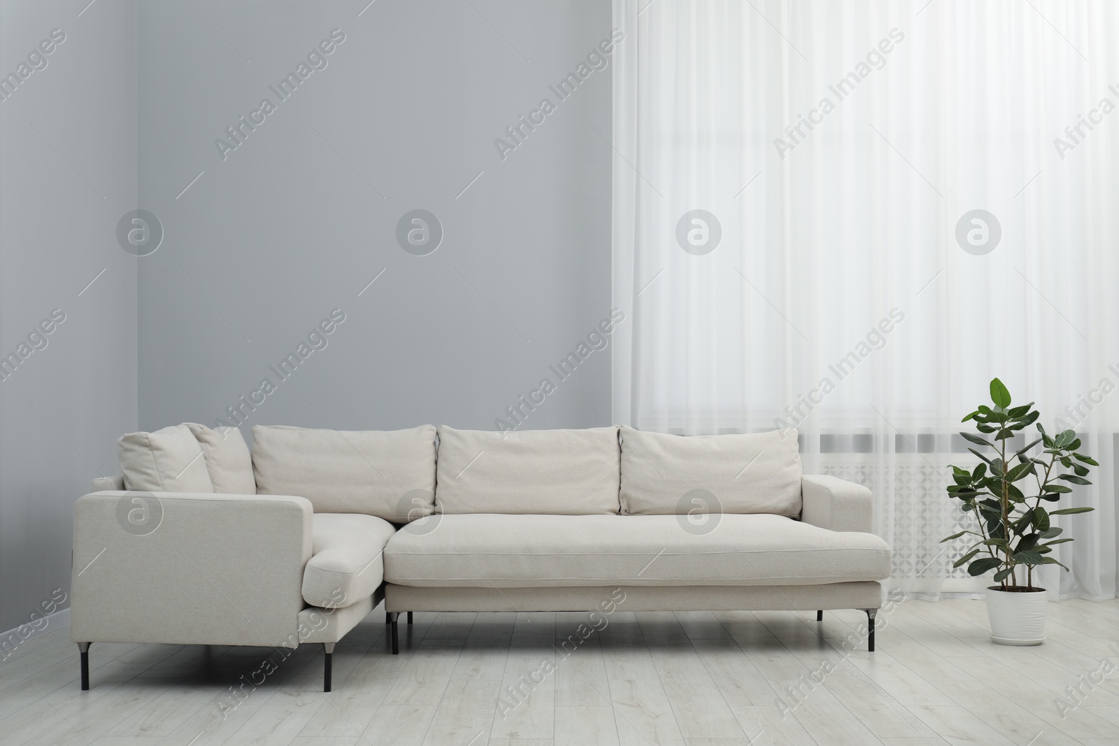 Photo of Stylish room interior with comfortable sofa and houseplant