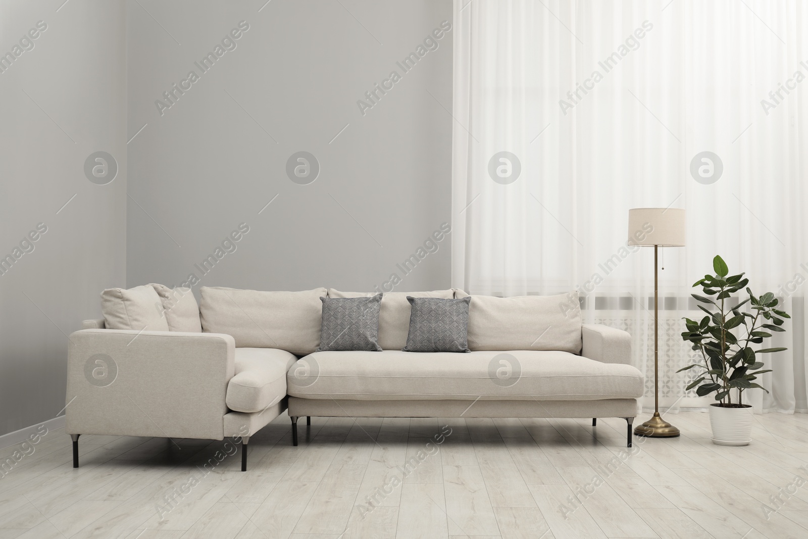 Photo of Stylish room interior with comfortable sofa and houseplant