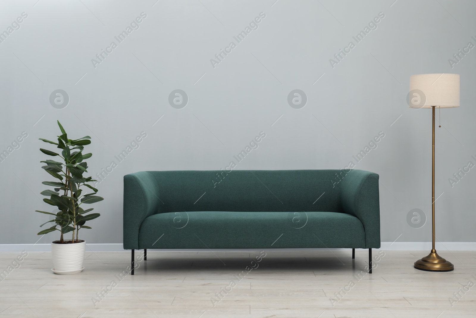 Photo of Stylish room interior with comfortable sofa and houseplant