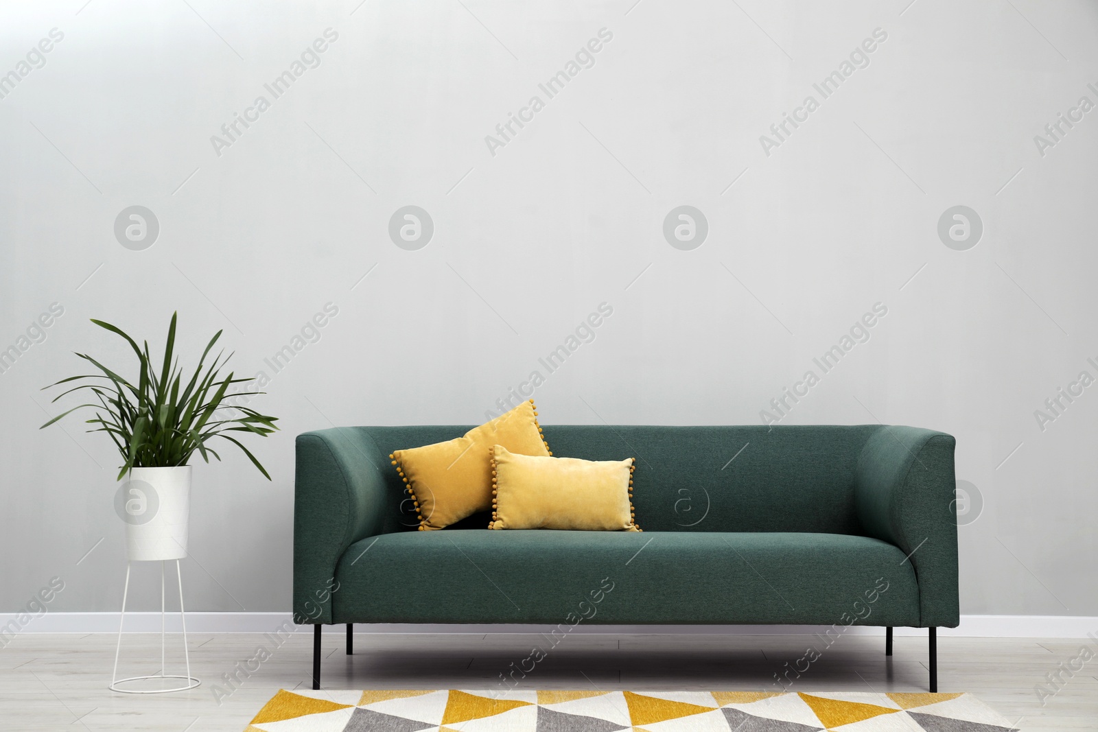 Photo of Stylish room interior with comfortable sofa and houseplant