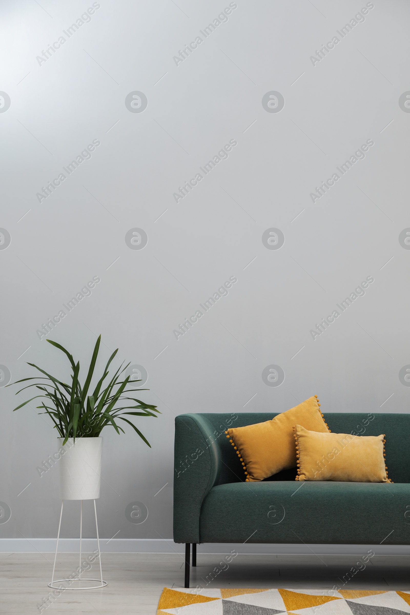 Photo of Stylish room interior with comfortable sofa and houseplant, space for text