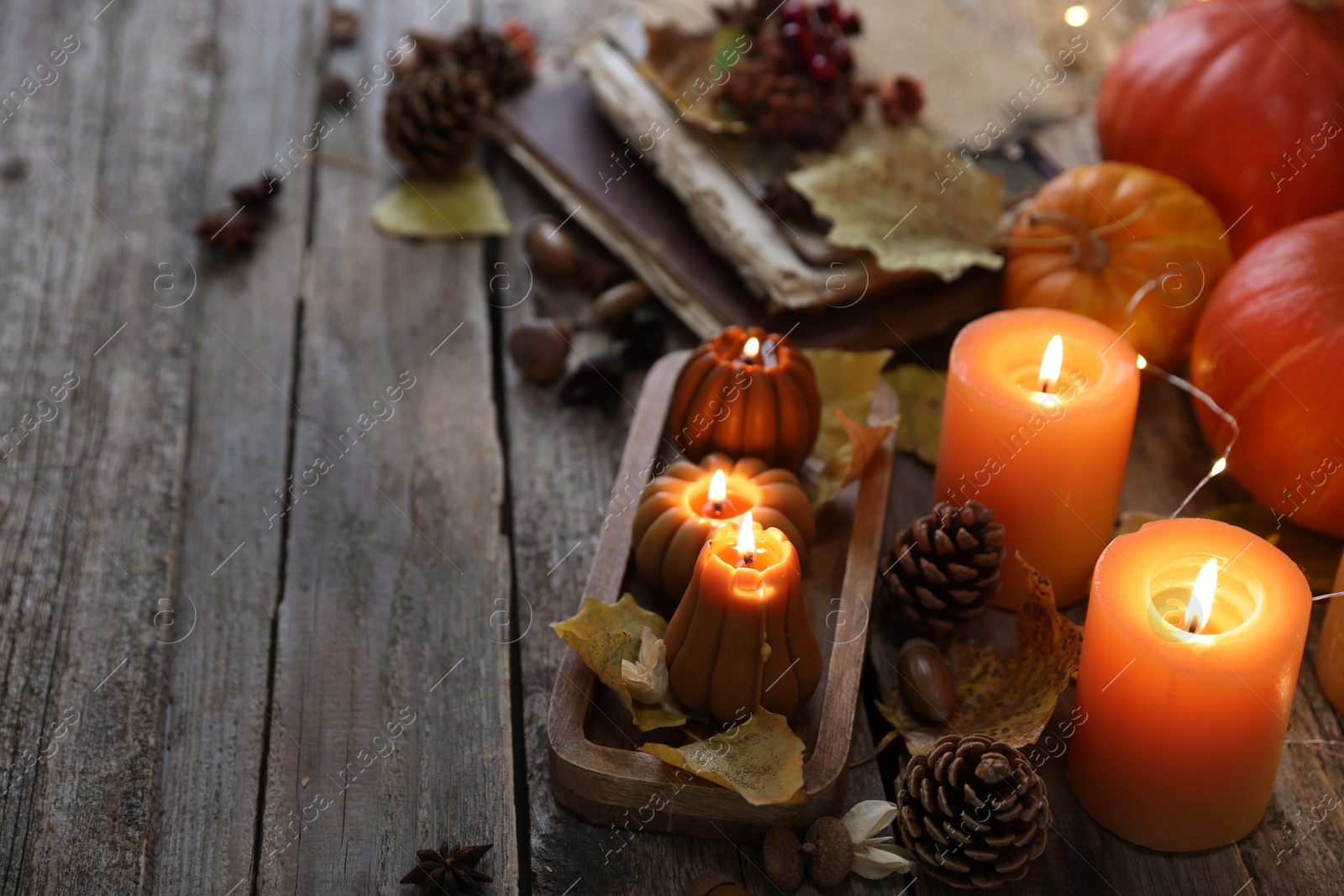 Photo of Burning candles in shape of pumpkins and autumn decor on wooden table, space for text