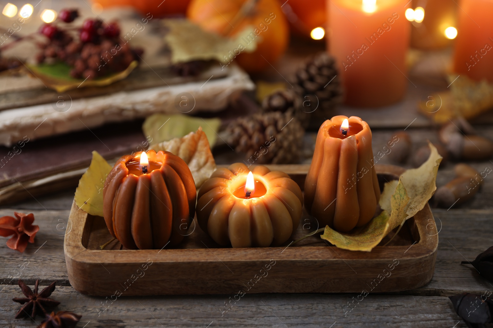 Photo of Burning candles in shape of pumpkins and autumn decor on wooden table