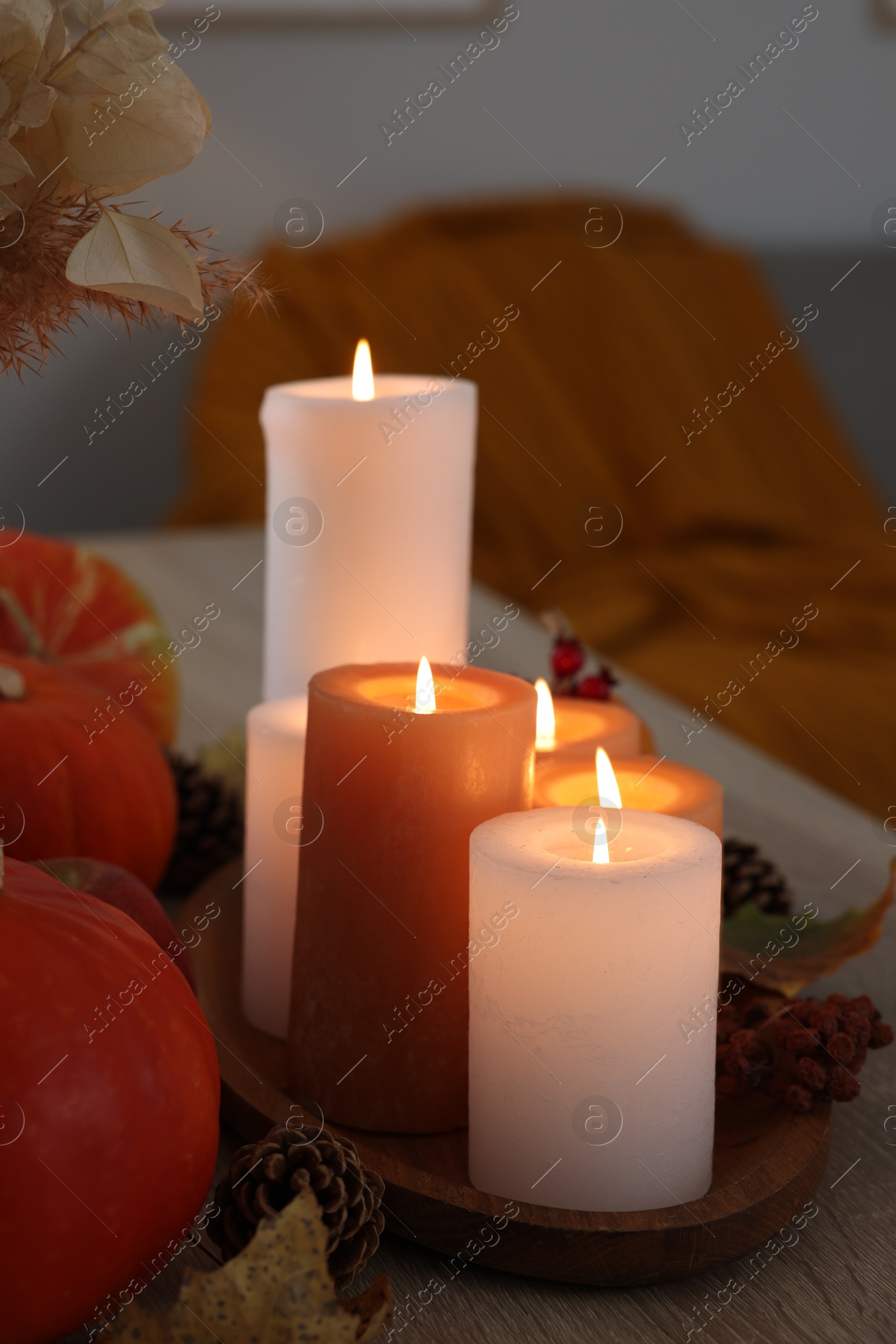 Photo of Tray with many burning candles and autumn decor on wooden table indoors, closeup