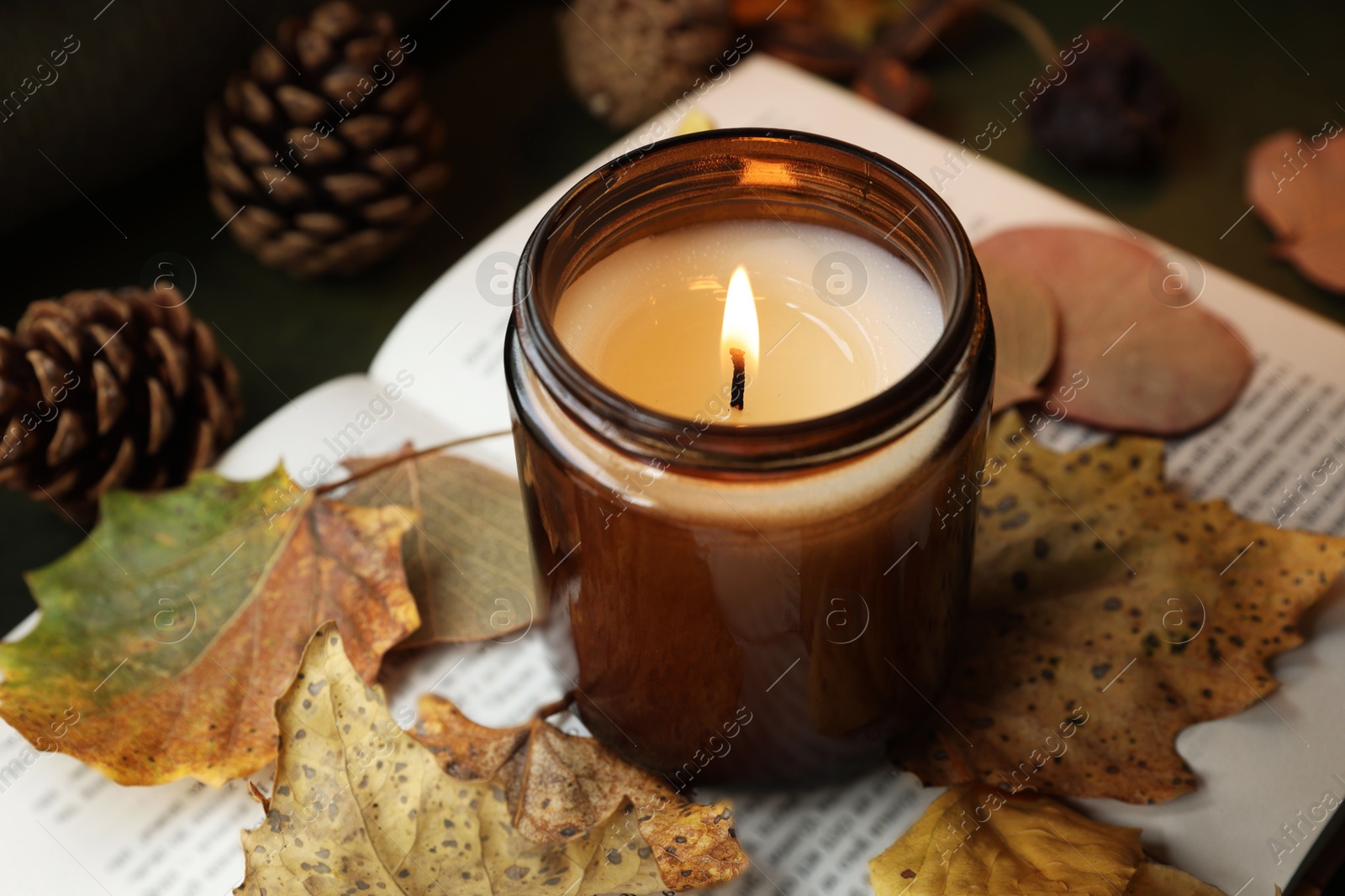 Photo of Burning candle and dry leaves on open book, closeup. Autumn atmosphere