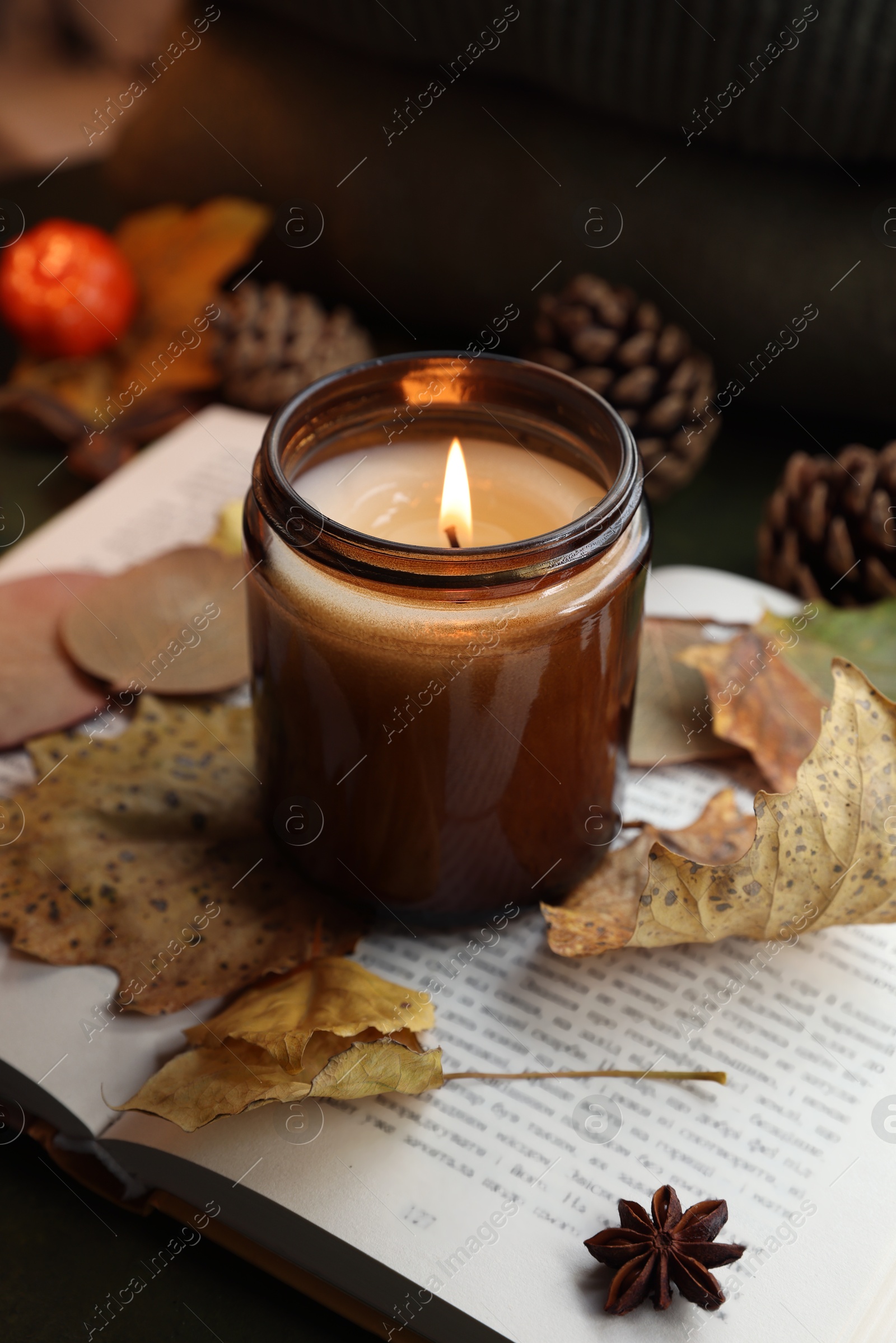 Photo of Burning candle and dry leaves on open book, closeup. Autumn atmosphere