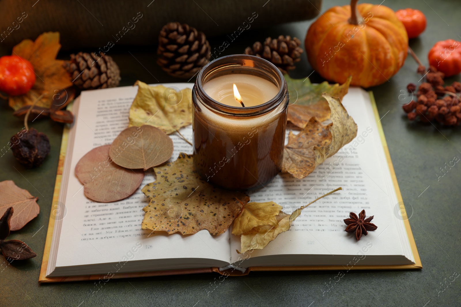 Photo of Burning candle, autumn decor and open book on green background