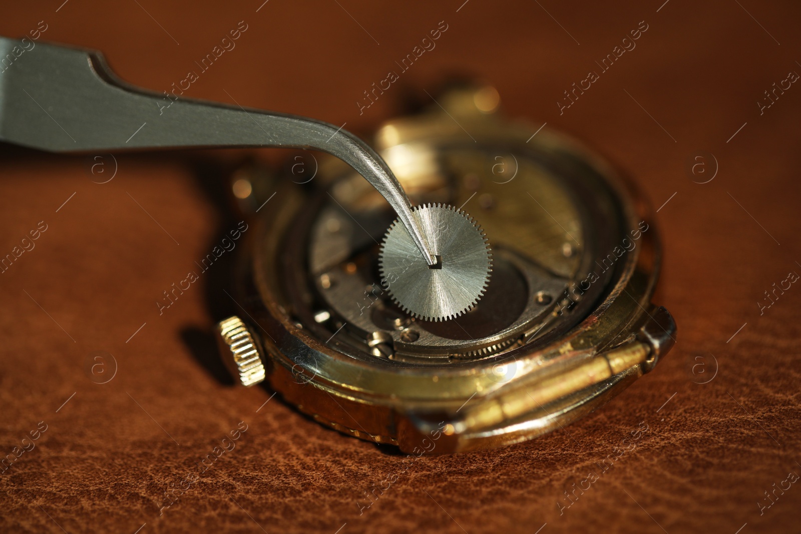 Photo of Mechanism of vintage wrist watch and tool on leather surface, closeup