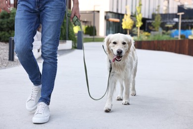 Owner walking with cute Golden Retriever dog outdoors, closeup