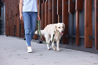 Photo of Owner walking with cute Golden Retriever dog outdoors, closeup