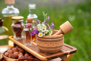 Photo of Tincture, wildflowers, hazelnuts mortar and pestle outdoors