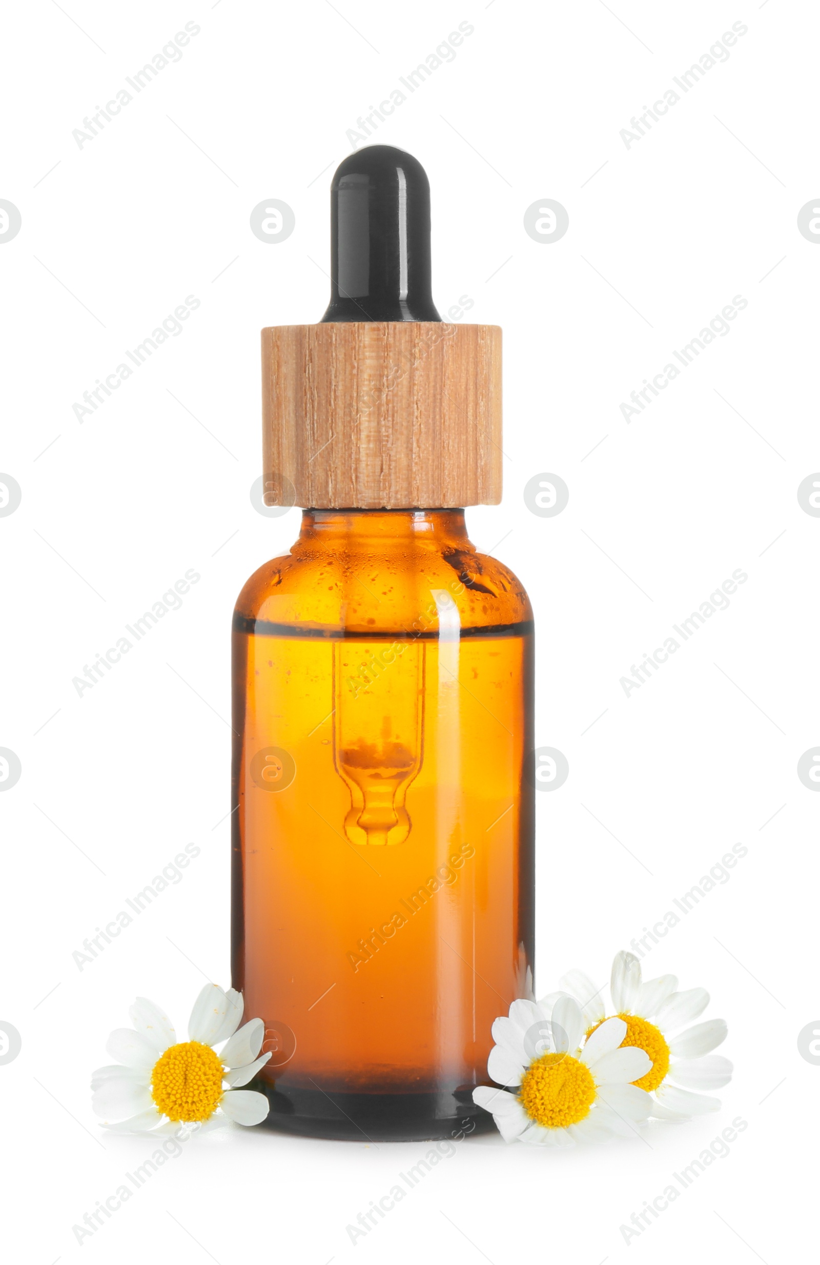 Photo of Bottle of tincture and daisy flowers isolated on white