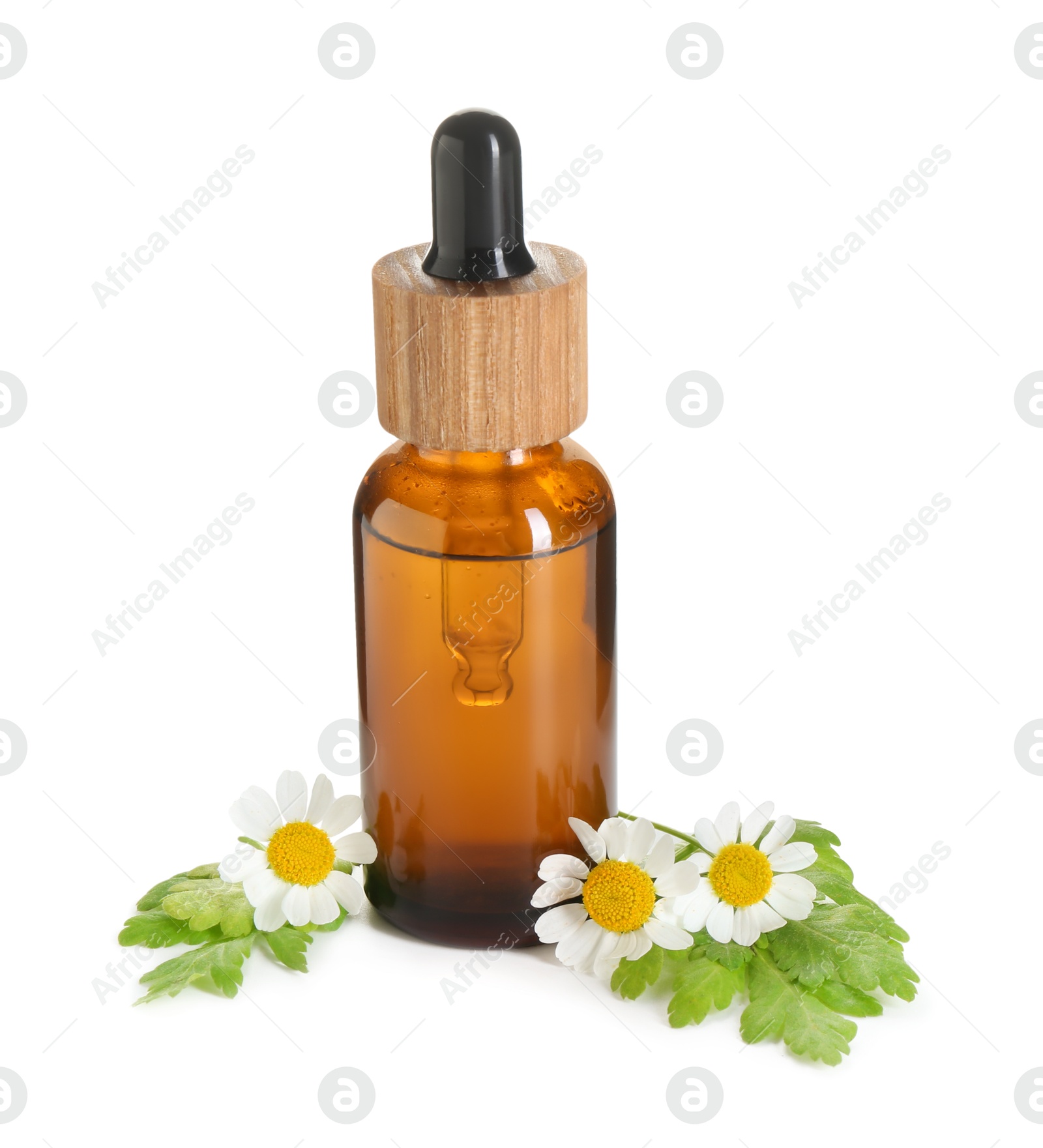 Photo of Bottle of tincture and daisy flowers isolated on white