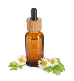 Photo of Bottle of tincture and daisy flowers isolated on white