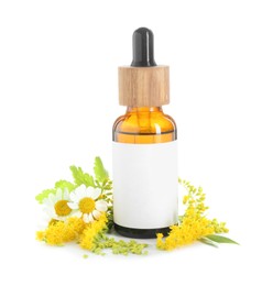 Bottle of tincture and flowers isolated on white