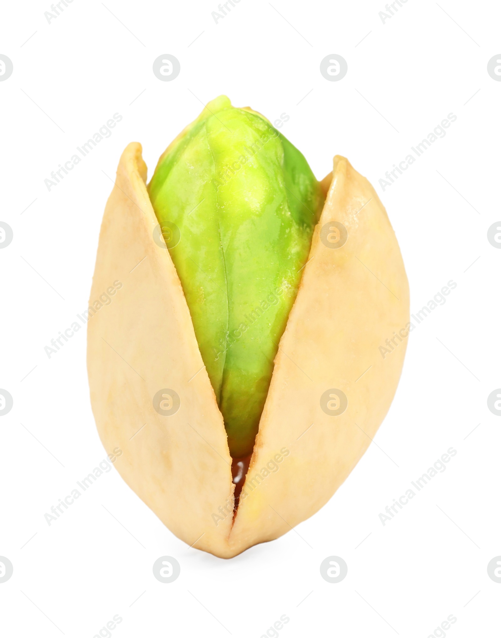 Photo of One tasty pistachio nut isolated on white