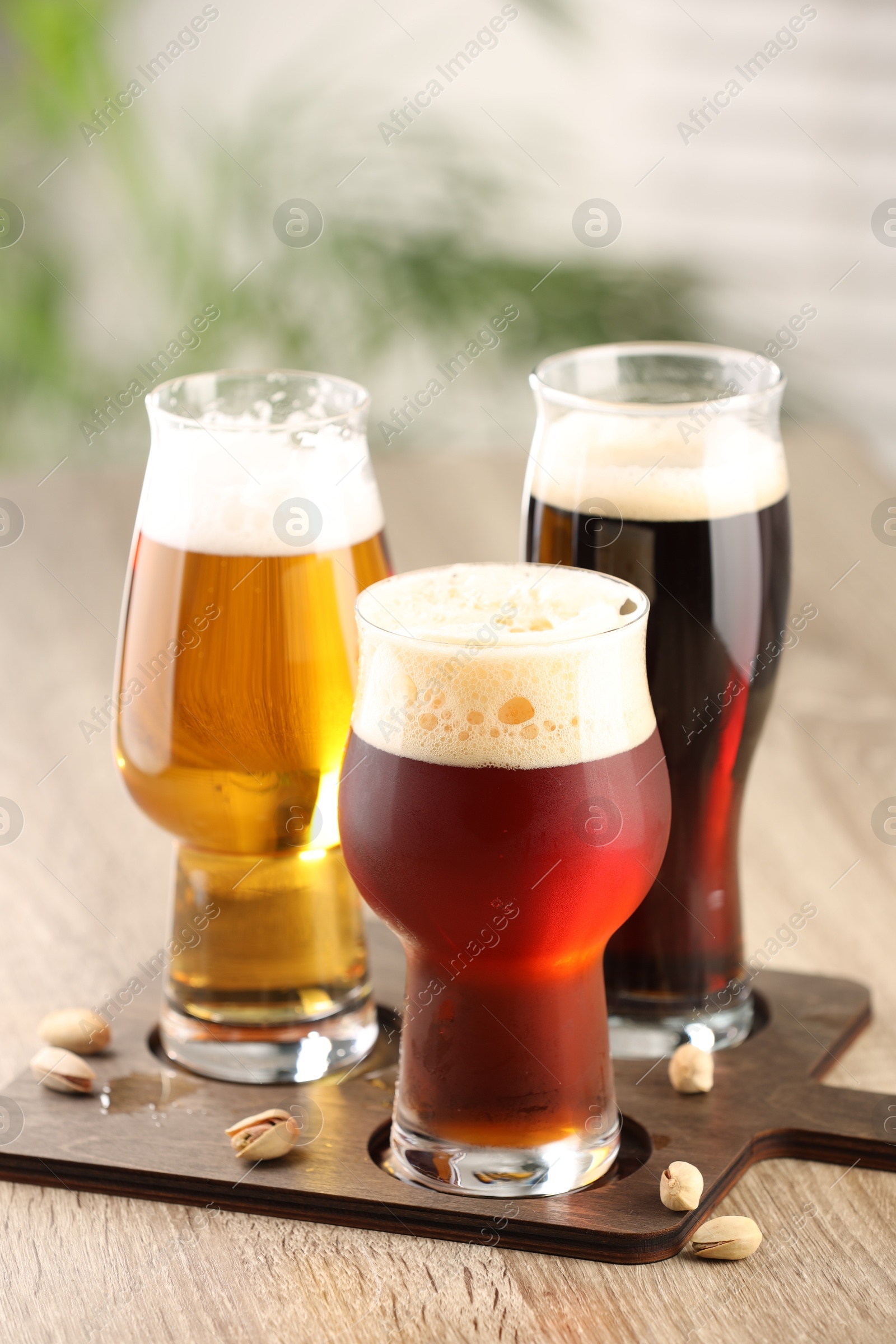 Photo of Glasses with different types of beer and pistachio nuts on wooden table indoors