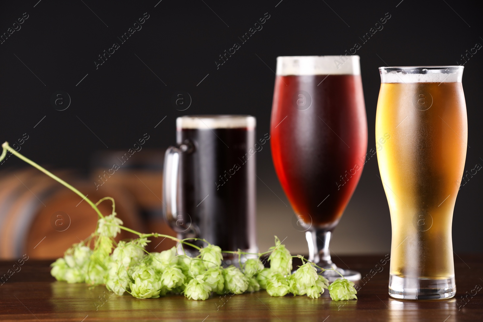 Photo of Glasses with different types of beer and fresh hops on wooden table in bar