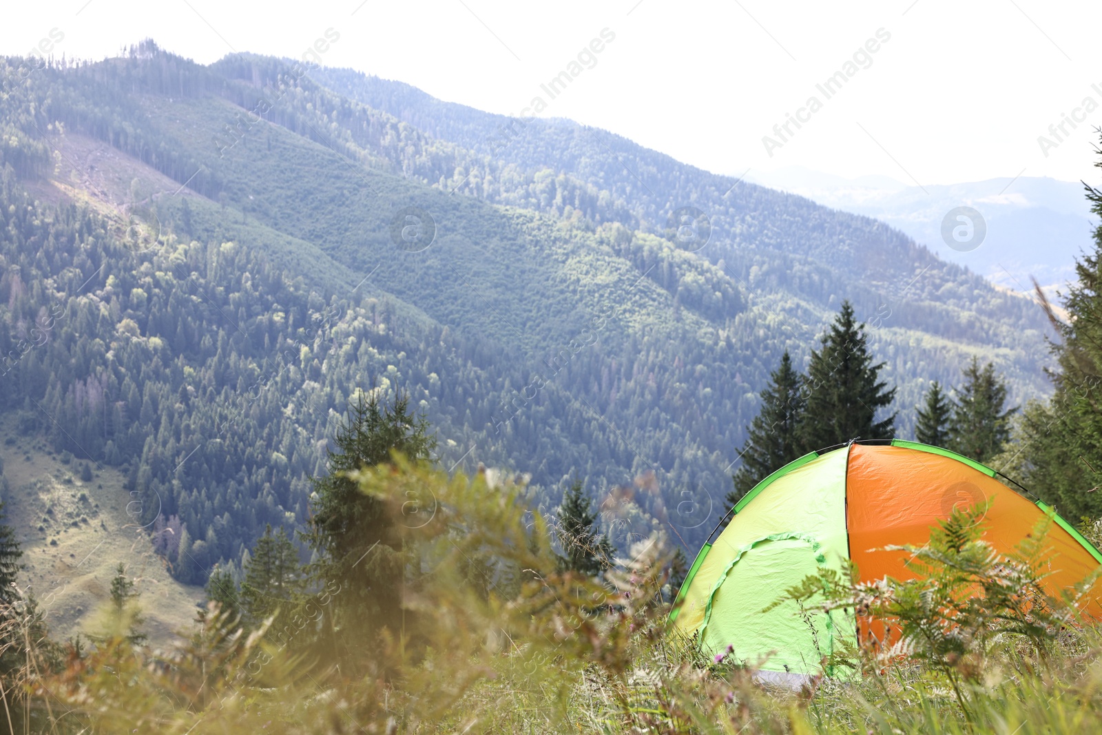 Photo of Camping tent on green grass in mountains