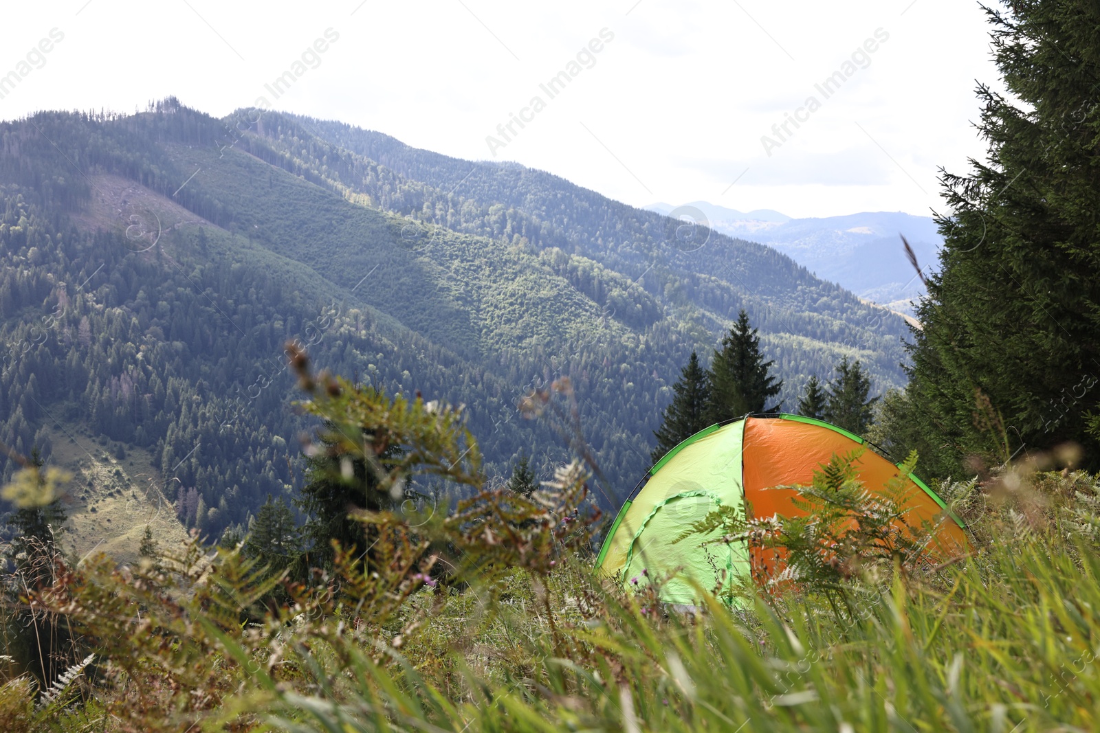 Photo of Camping tent on green grass in mountains