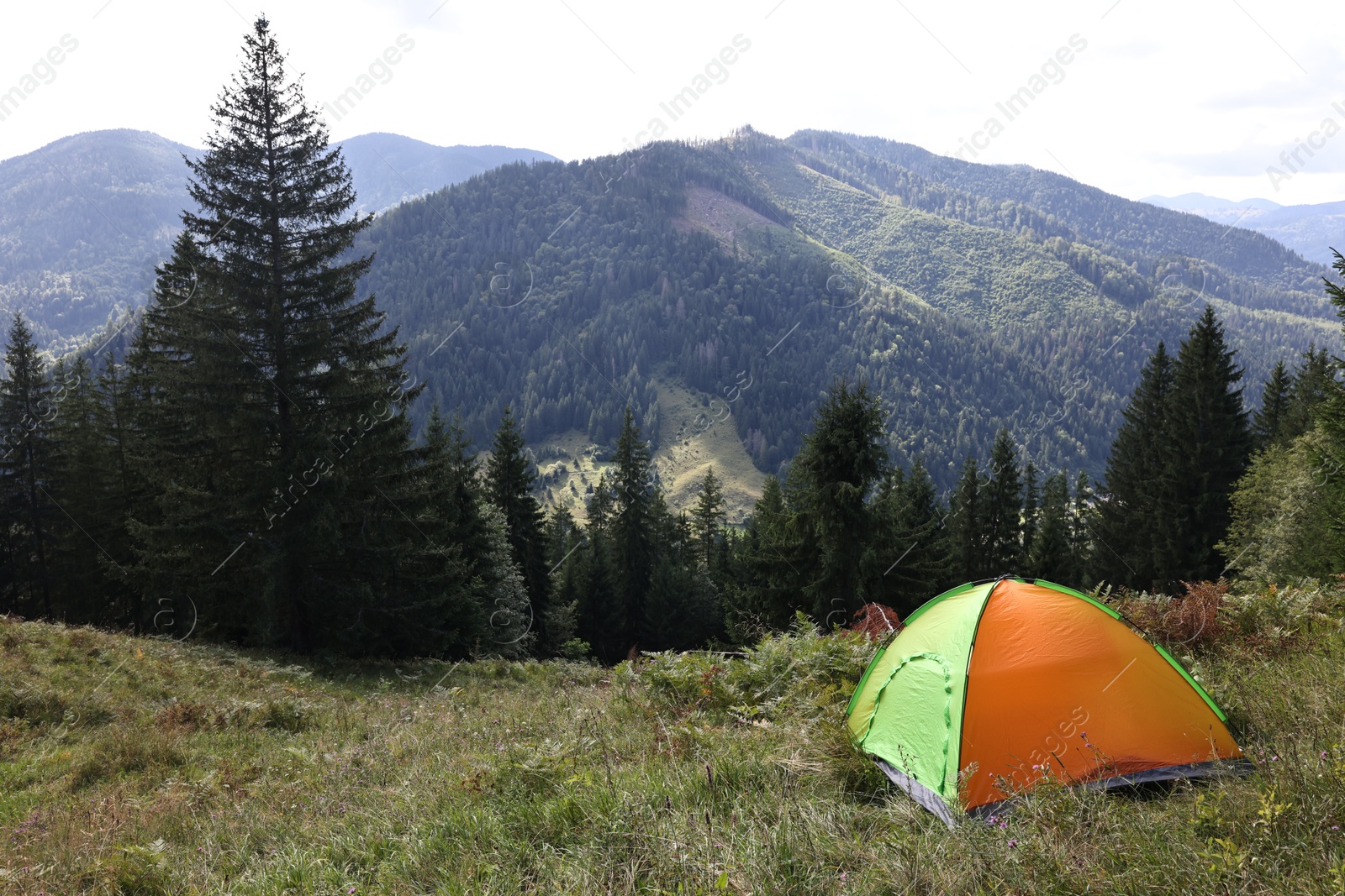 Photo of Camping tent on green grass in mountains