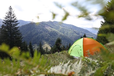 Photo of Camping tent on green grass in mountains