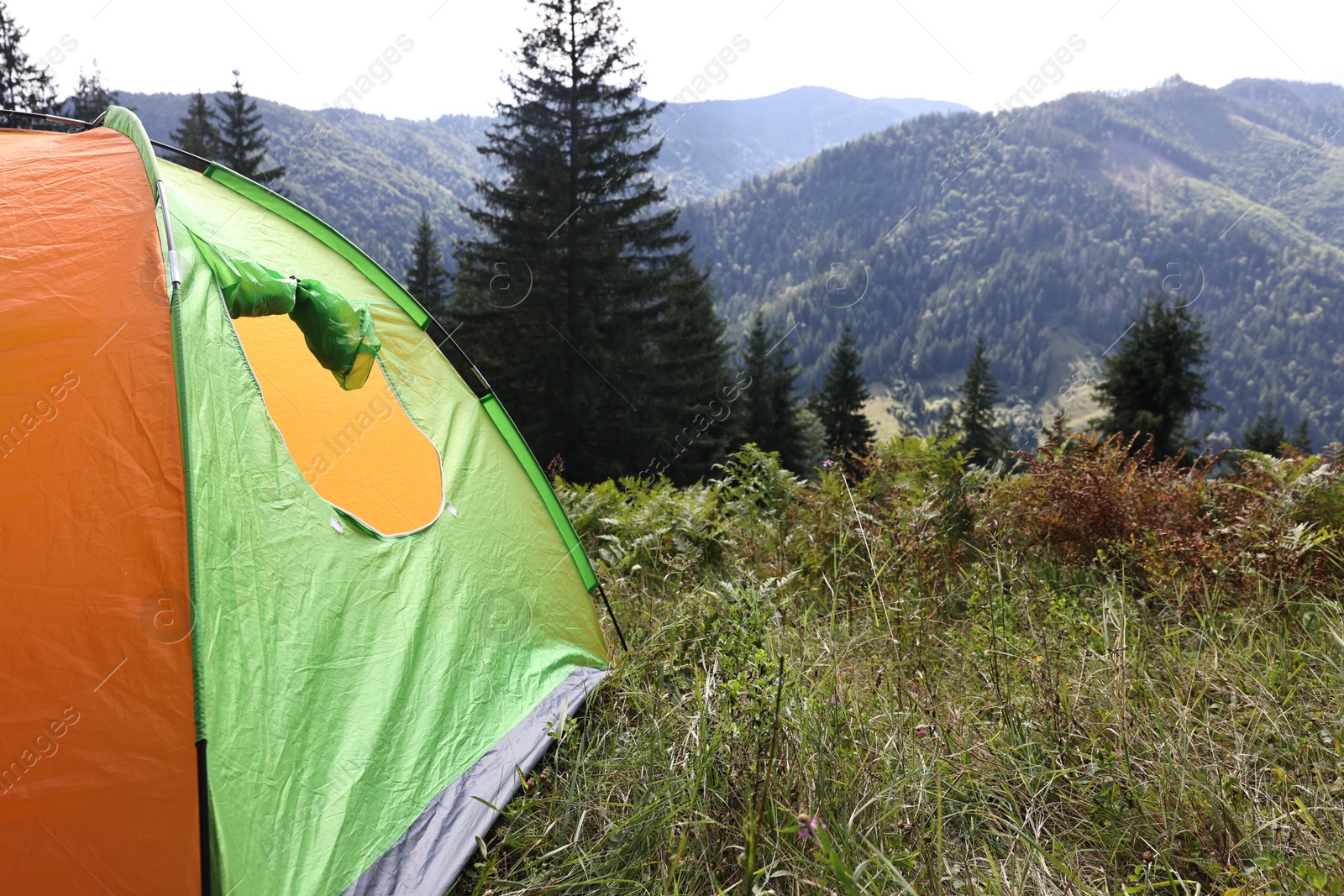 Photo of Camping tent on green grass in mountains