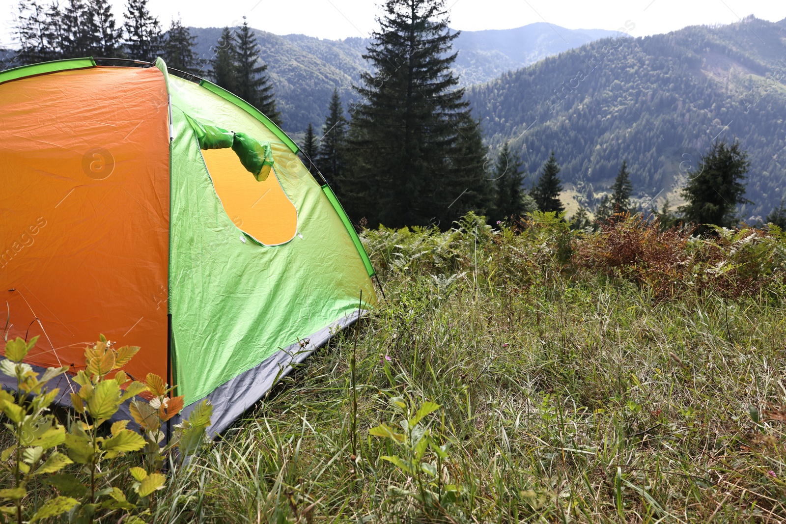 Photo of Camping tent on green grass in mountains