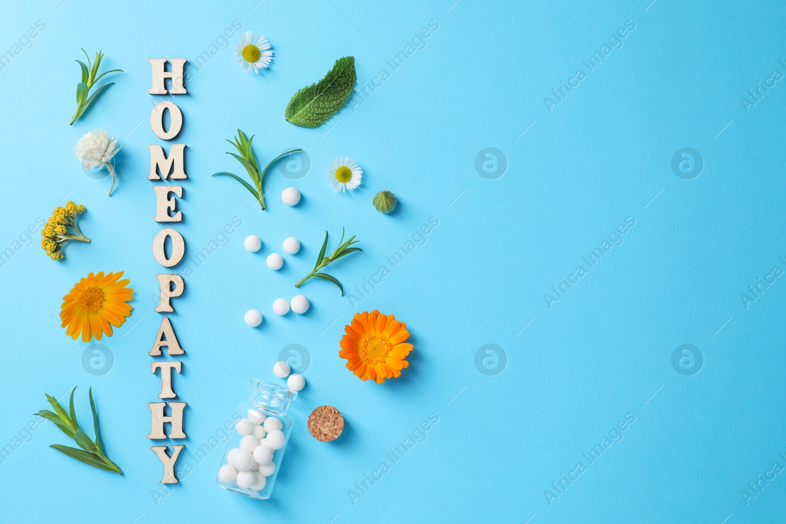 Photo of Word Homeopathy, medicinal herbs and pills on light blue background, flat lay. Space for text