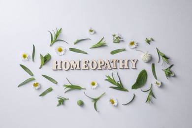 Photo of Word Homeopathy and medicinal herbs on white background, flat lay