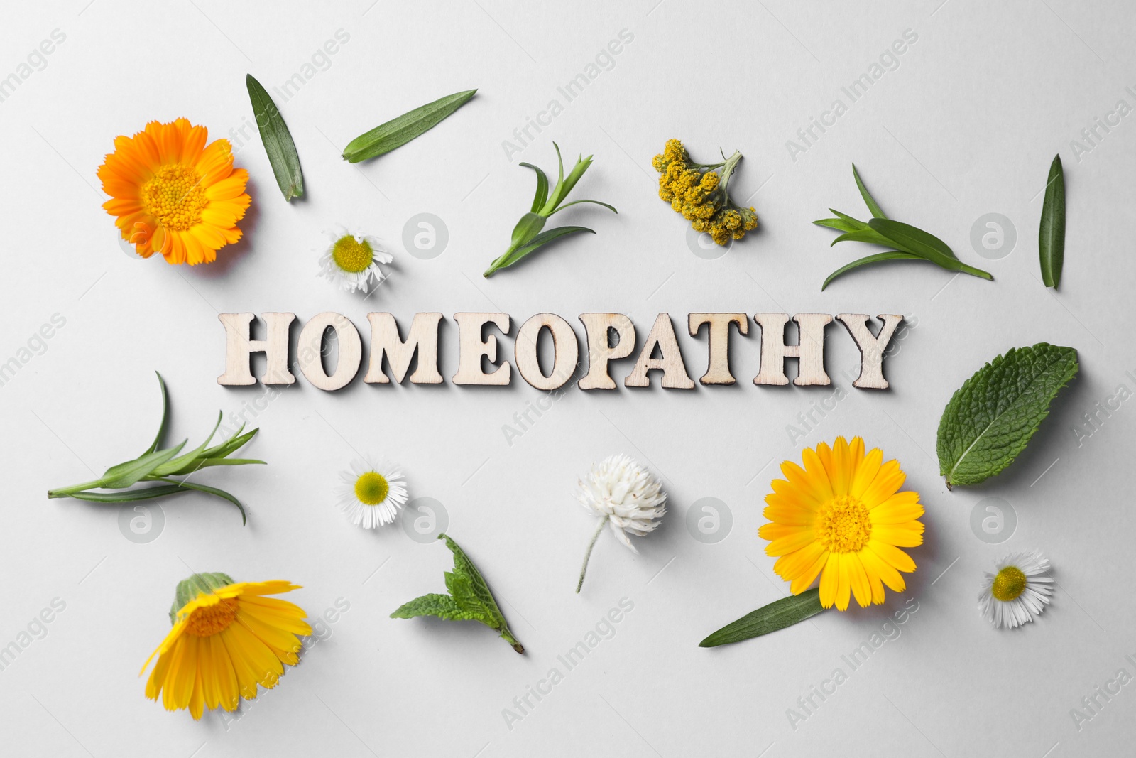 Photo of Word Homeopathy and medicinal herbs on white background, flat lay