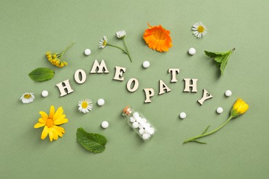 Photo of Word Homeopathy, pills and medicinal herbs on green background, flat lay