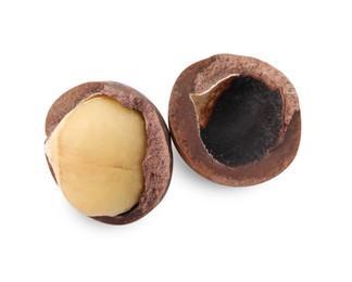 Photo of Macadamia nut with shell isolated on white, top view