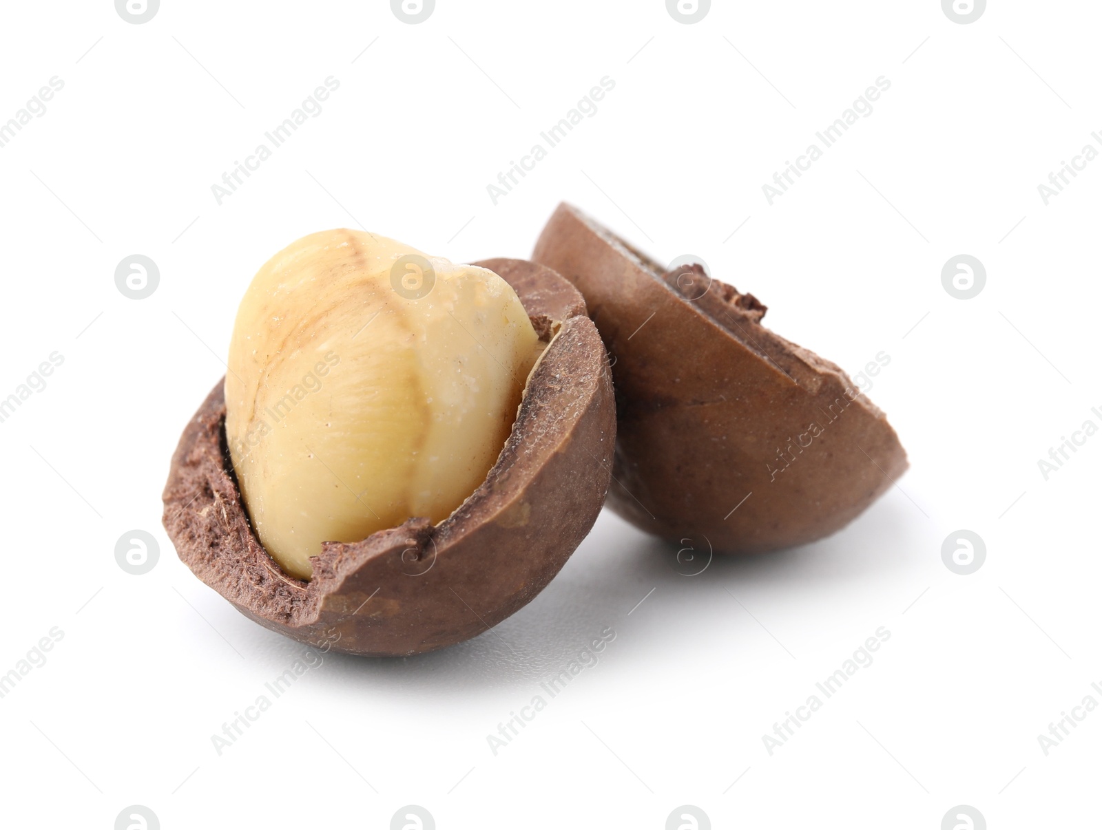 Photo of Macadamia nut with shell isolated on white