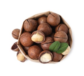 Macadamia nuts in paper bag isolated on white, top view