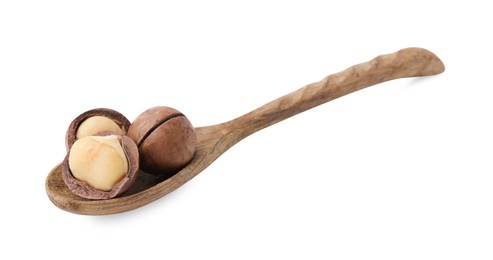 Spoon with macadamia nuts isolated on white